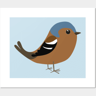 Cute Common chaffinch Posters and Art